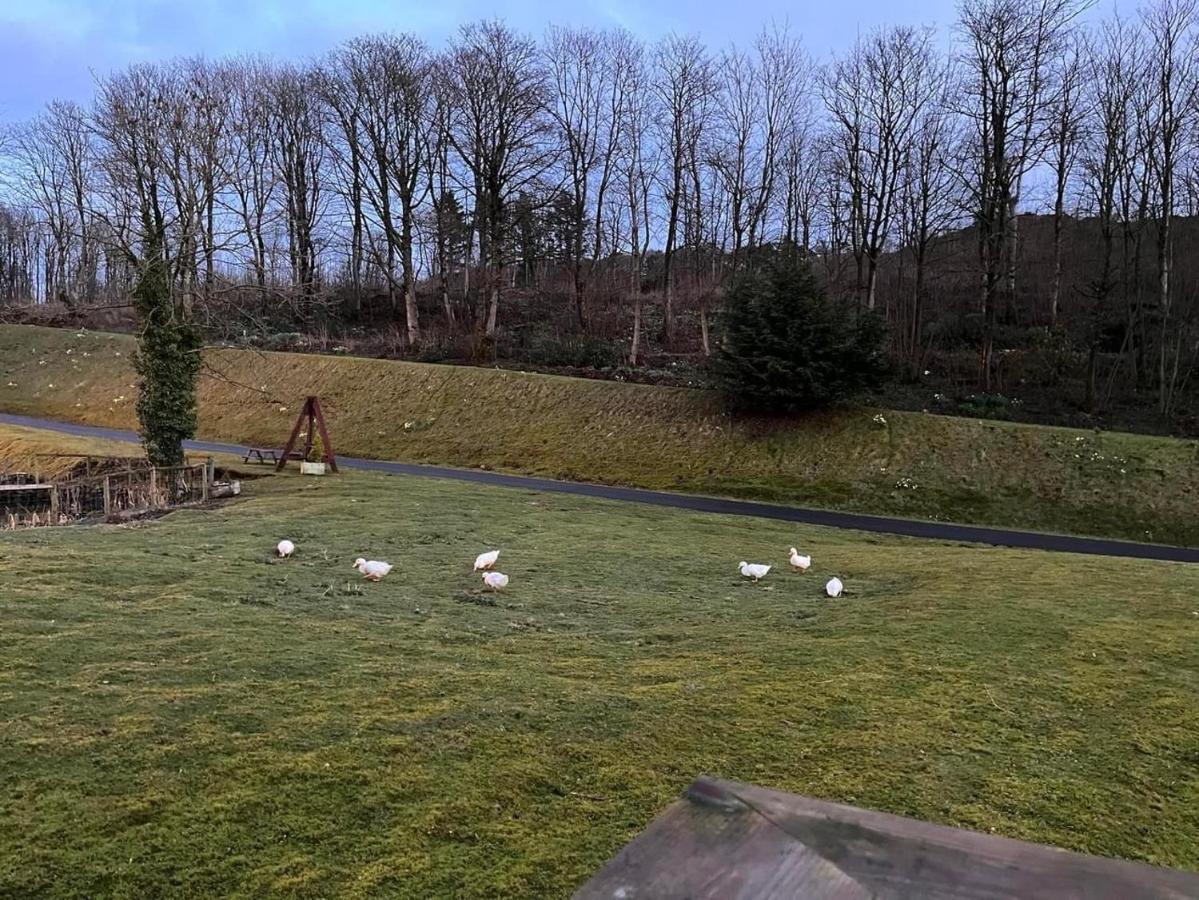 ホテル 4 Squirrel View ストランラー エクステリア 写真